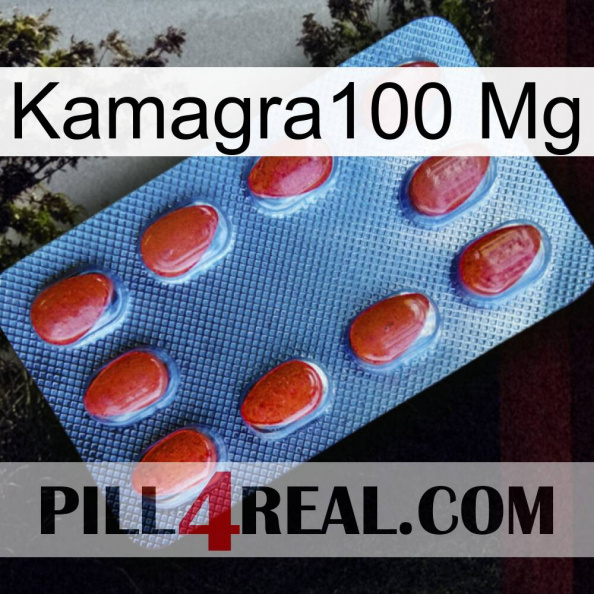 Kamagra100 Mg 06.jpg